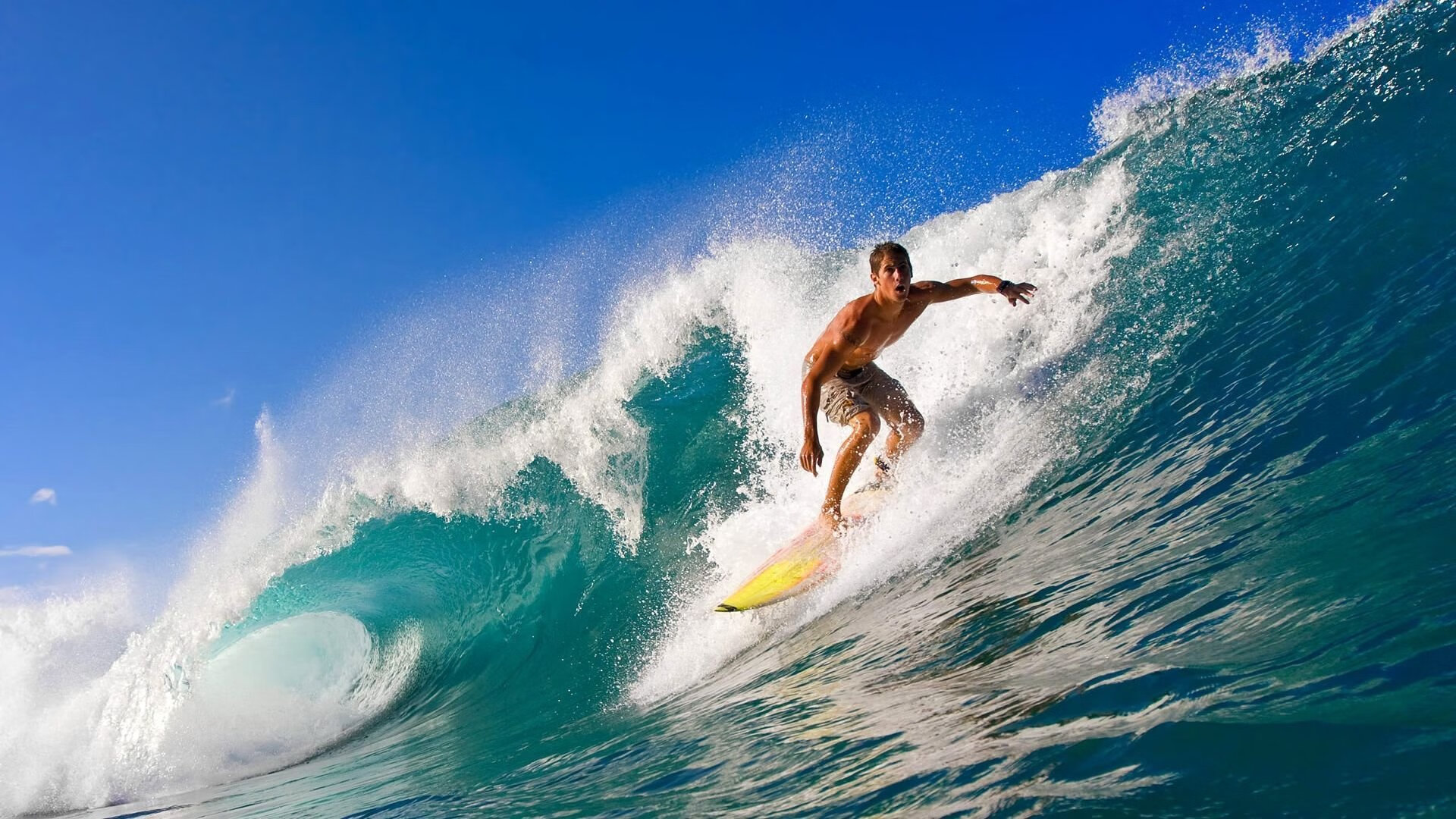 关于温网转会风云：国际米兰盯上锋线强援，高芙或成交易筹码的信息